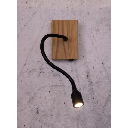 LED-wandlamp LECTOR LED/2,5W/230V eik