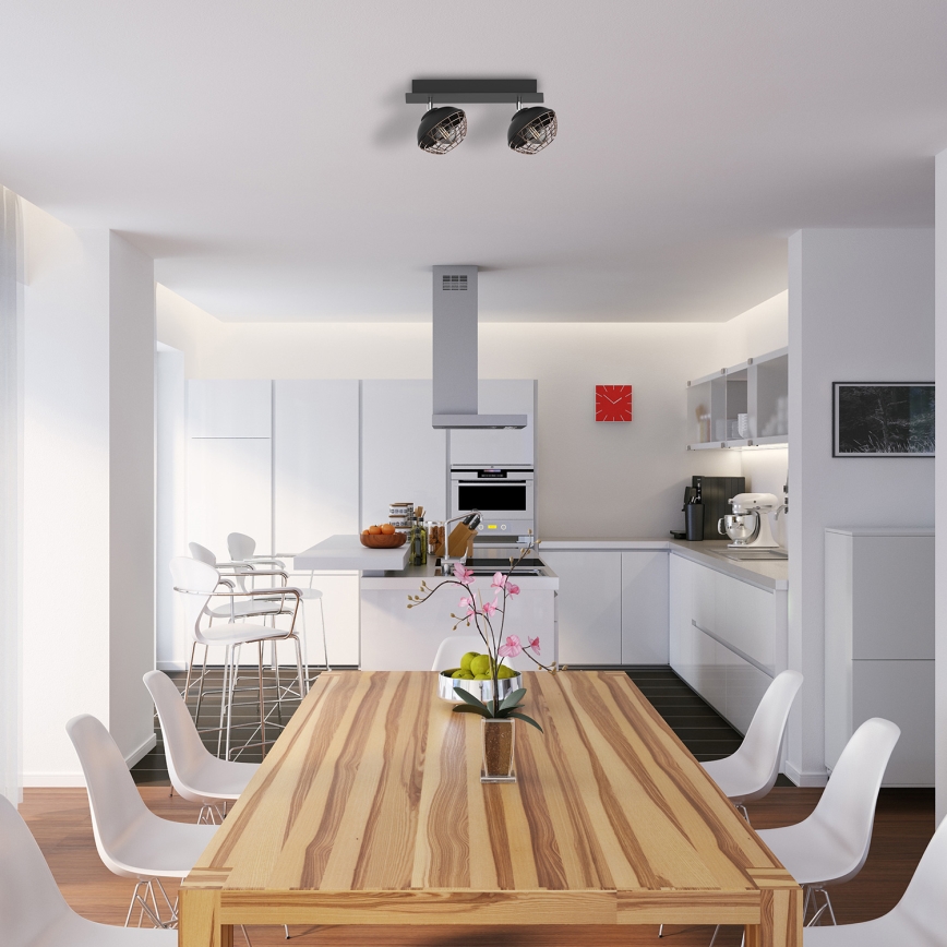 Spot LOGAN 2xE14/40W/230V