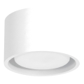 Spot MODO 1xGX53/10W/230V blanc
