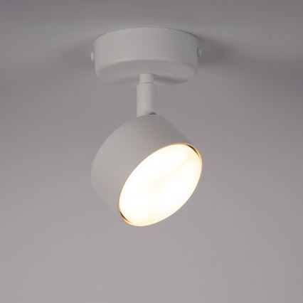 Spot NEMO 1xGX53/12W/230V blanc