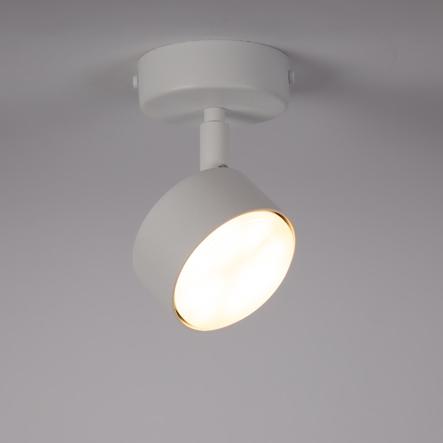 Spot NEMO 1xGX53/12W/230V blanc