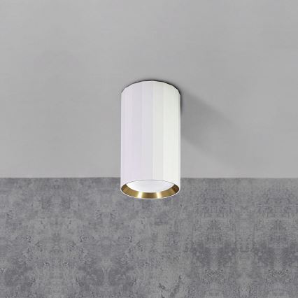 Spot NICEA 1xGU10/10W/230V blanc