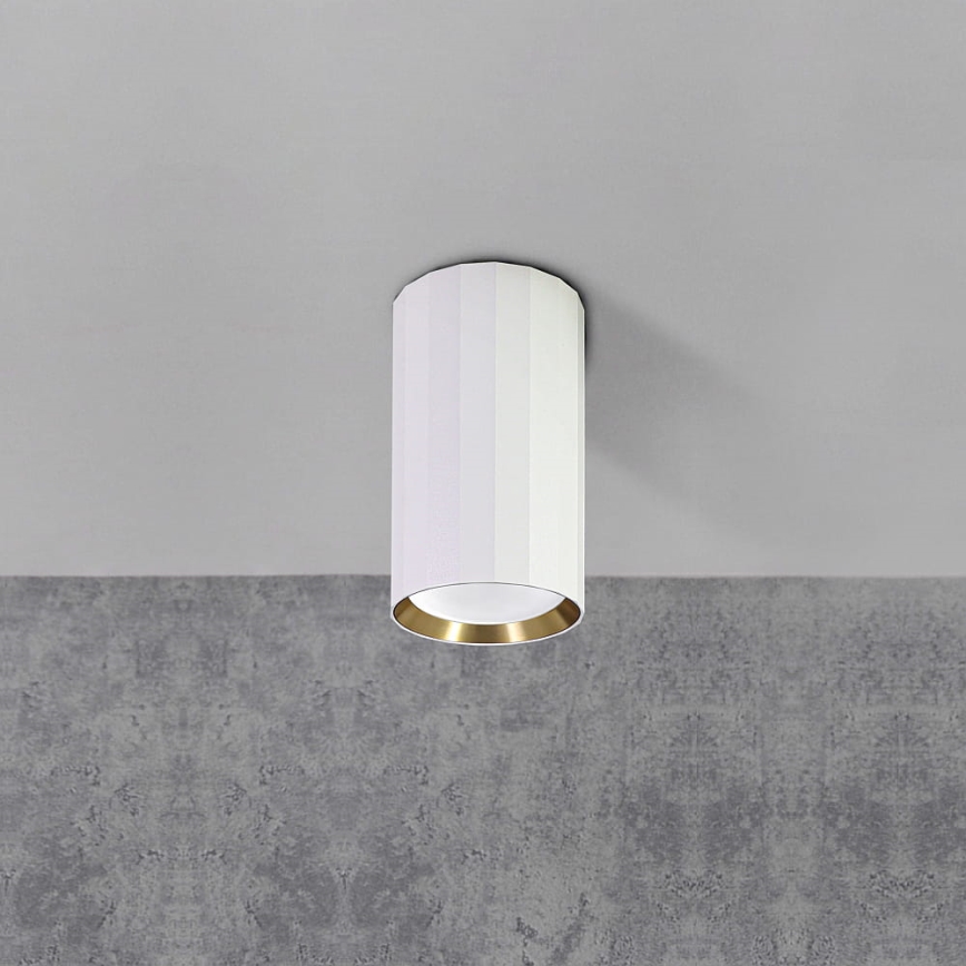 Spot NICEA 1xGU10/10W/230V blanc