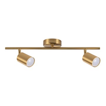 Spot orientable GOLDIE 2xGU10/10W/230V doré