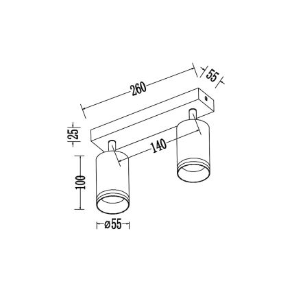 Spot orientable PIPE 2xGU10/10W/230V noir
