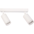 Spot PIPE 2xGU10/10W/230V blanc