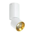 Spot plafonnier LED LED/10W/230V