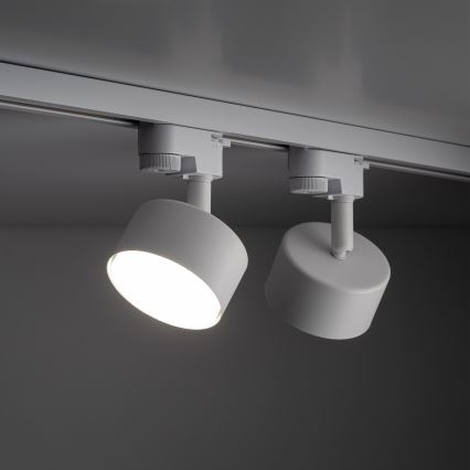 Spot pour système de rail monophasé AVIA 1xGX53/15W/230V blanc