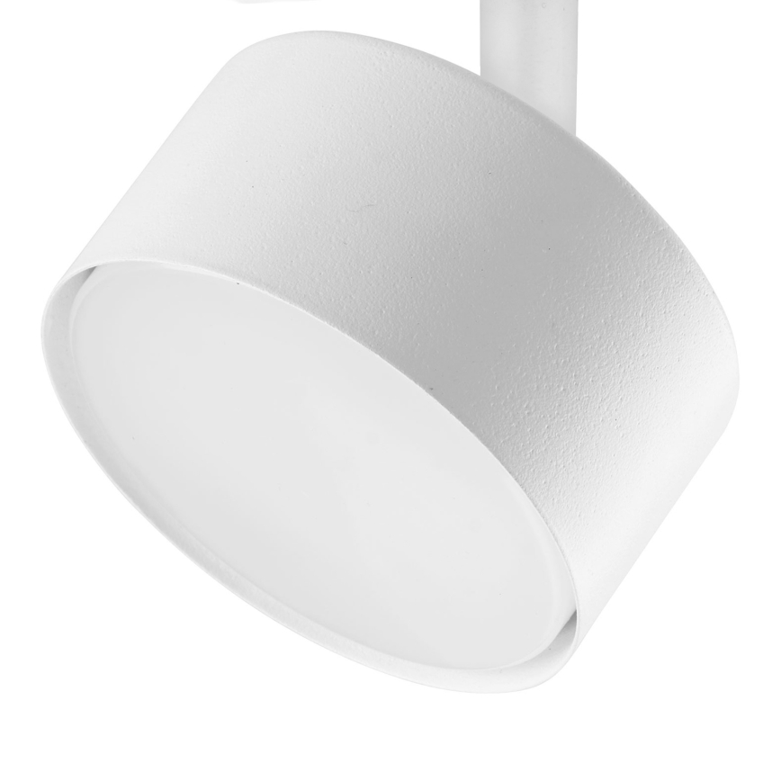 Spot pour système de rail monophasé AVIA 1xGX53/15W/230V blanc