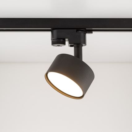 Spot pour système de rail monophasé AVIA 1xGX53/15W/230V noir
