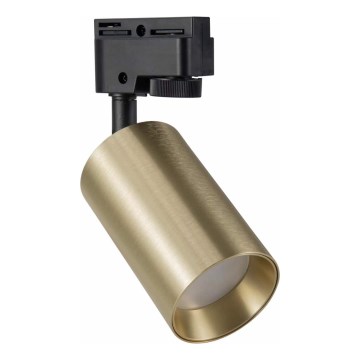Spot pour système de rail MARIBEL 1xGU10/10W/230V doré
