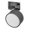 Spot pour système de rail monophasé AVIA 1xGX53/15W/230V noir