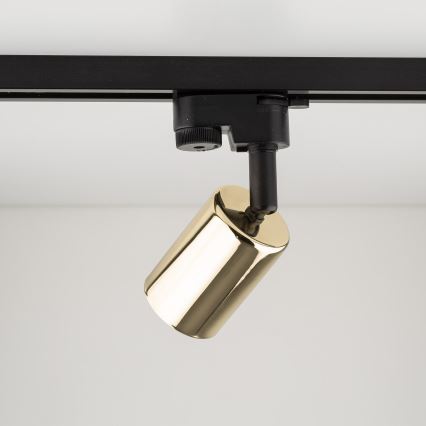 Spot pour système de rail TOP 1xGU10/10W/230V doré/noir