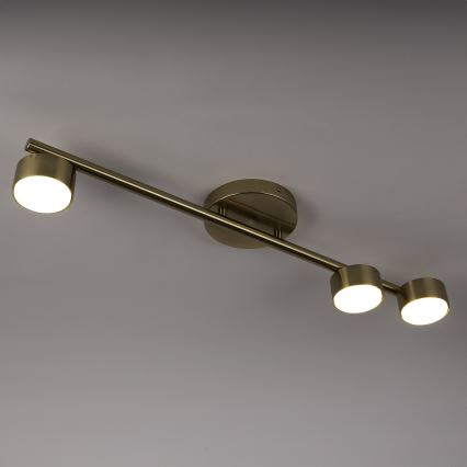 Spot PUNTO 3xGX53/12W/230V goud