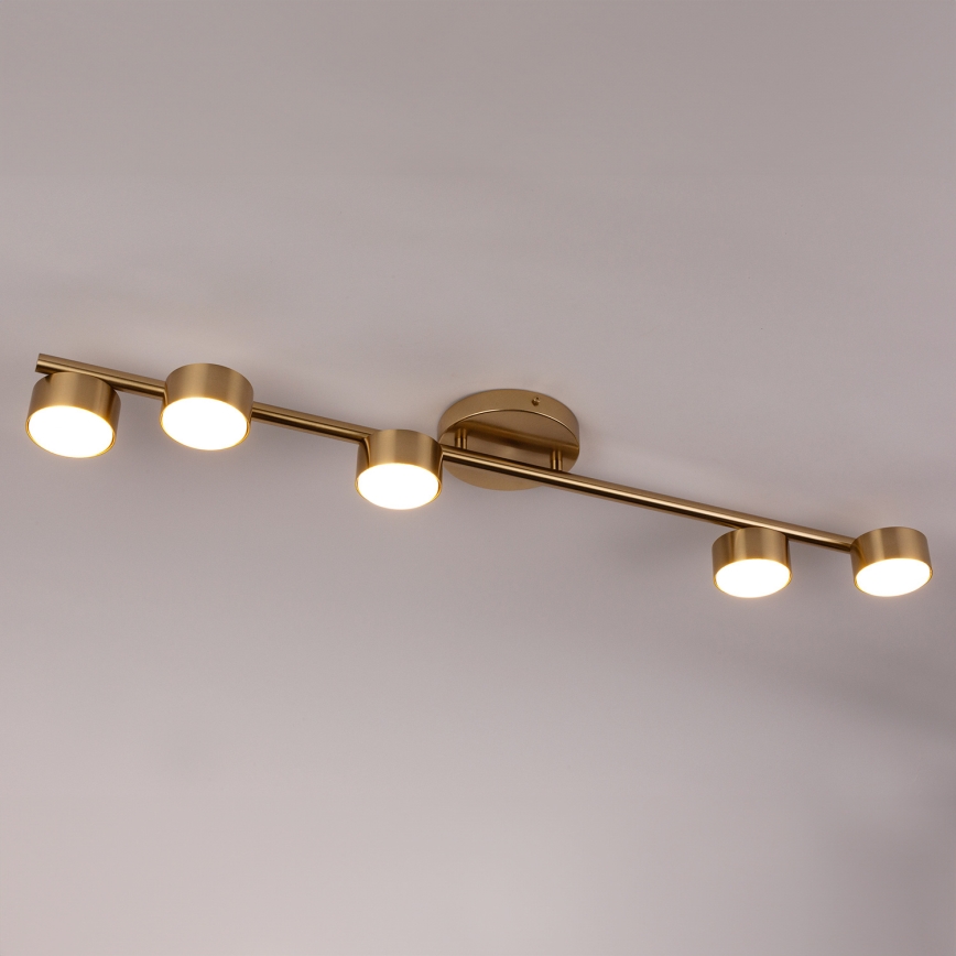 Spot PUNTO 5xGX53/12W/230V goud