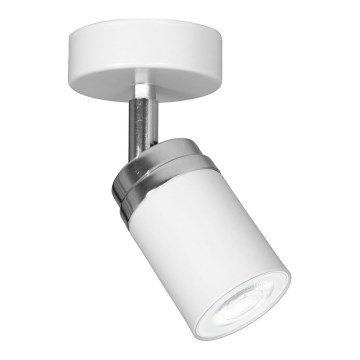 Spot RENO 1xGU10/8W/230V blanc/chrome brillant