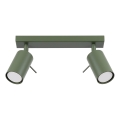 Spot RING 2xGU10/10W/230V groen