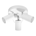 Spot RING 3xGU10/10W/230V blanc