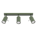 Spot RING 3xGU10/10W/230V groen