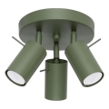 Spot RING 3xGU10/10W/230V groen