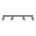 Spot RING 4xGU10/10W/230V groen