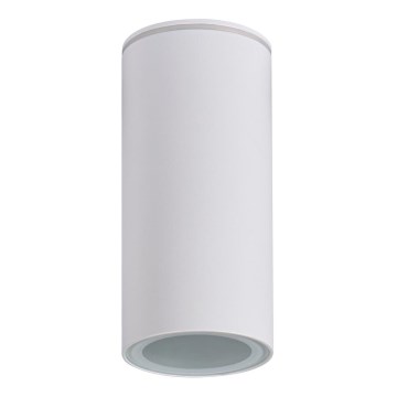 Spot salle de bain AQILO 1xE14/10W/230V IP65 blanc