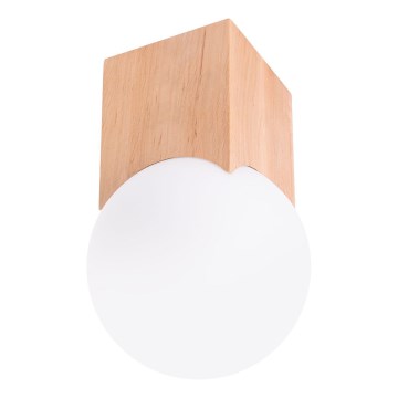 Spot SOLIS 1xG9/8W/230V beuken