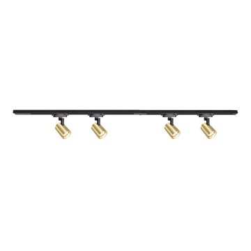 Spot sur rail VOLF 4xGU10/10W/230V doré/noir