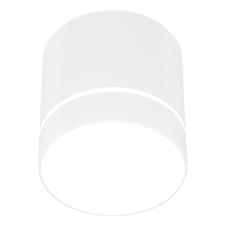 Spot  TUBA 1xGU10/15W/230V wit