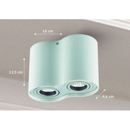 Spot TUBA 1xGU10/50W/230V blanc