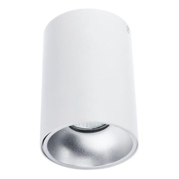 Spot TUBA 1xGU10/50W/230V wit