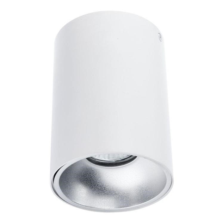 Spot TUBA 1xGU10/50W/230V wit