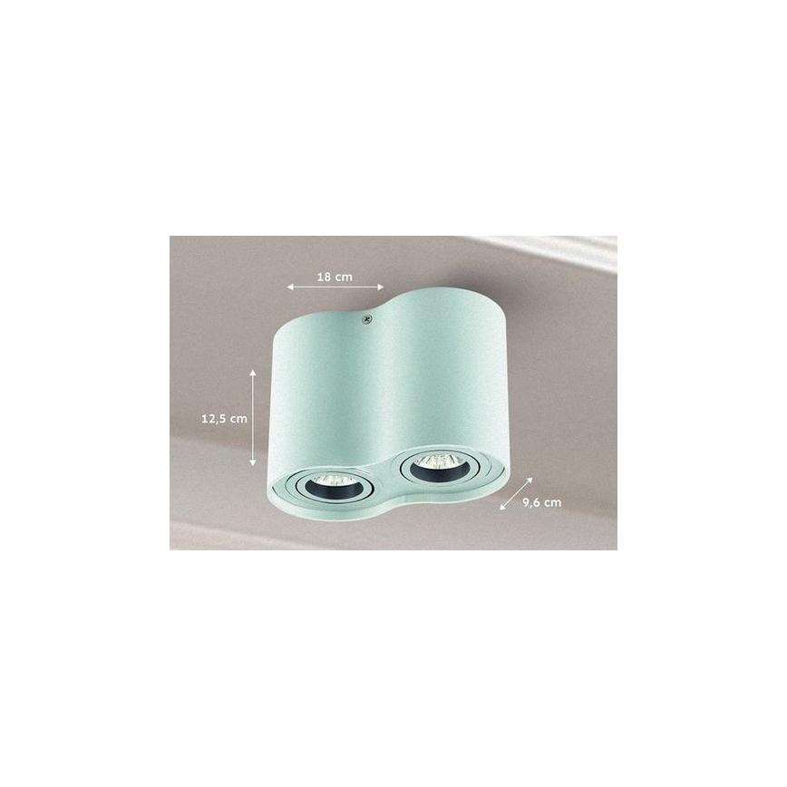 Spot TUBA 1xGU10/50W/230V wit
