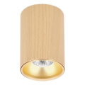 Spot TUBE 1xGU10/15W/230V beige