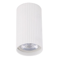 Spot TUNE S 1xGU10/10W/230V 10 cm blanc