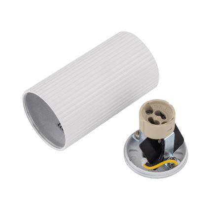 Spot TUNE S 1xGU10/10W/230V 10 cm blanc