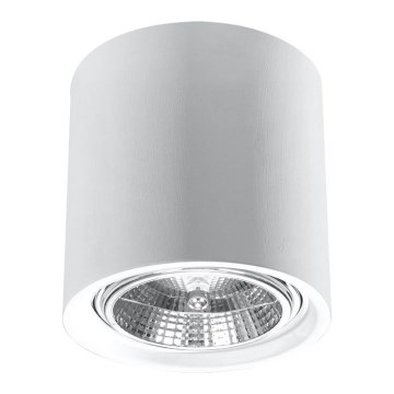 Spot verlichting KALU 1x GU10 / 40W / 230V