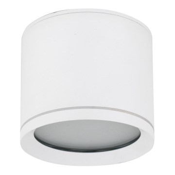 Spot VIVO 1xGX53/10W/230V 10 cm blanc