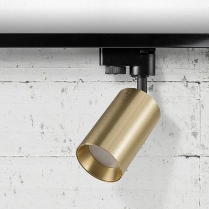 Spot voor een rail Systeem MARIBEL 1xGU10/10W/230V goud