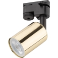 Spot voor een rail Systeem TOP 1xGU10/10W/230V goud/zwart
