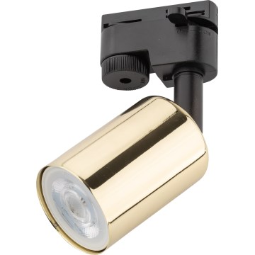 Spot voor een rail Systeem TOP 1xGU10/10W/230V goud/zwart