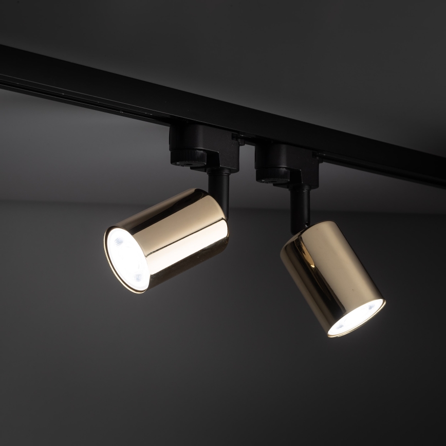 Spot voor een rail Systeem TOP 1xGU10/10W/230V goud/zwart