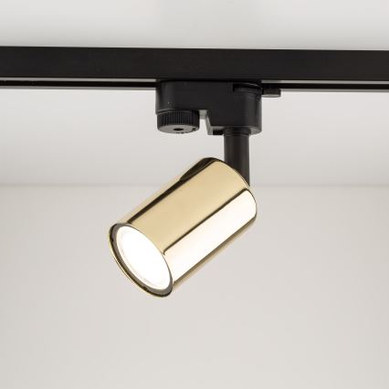 Spot voor een rail Systeem TOP 1xGU10/10W/230V goud/zwart