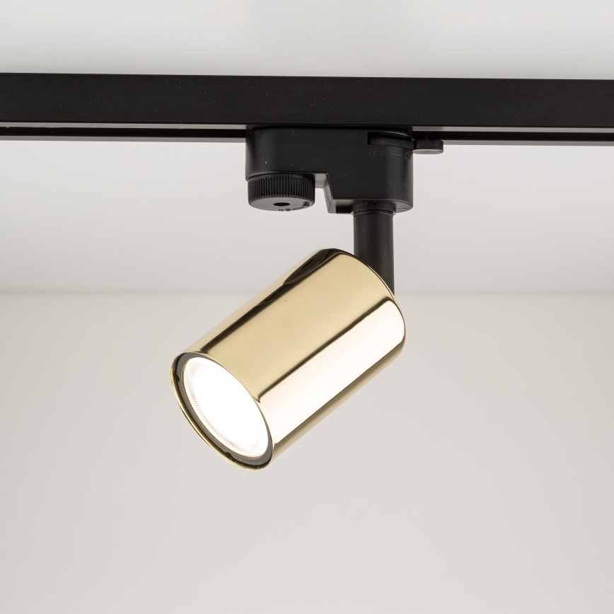 Spot voor een rail Systeem TOP 1xGU10/10W/230V goud/zwart