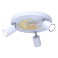 Spot voor kinderen FUN 3xGU10/8W/230V blauw/Kleine beer