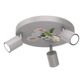 Spot voor kinderen FUN 3xGU10/8W/230V grijs/koala