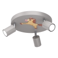 Spot voor kinderen FUN 3xGU10/8W/230V grijs/paard