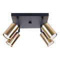 Spot WINX 4xGU10/10W/230V zwart/goud
