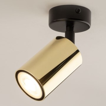 Spot ZOOM 1xGU10/10W/230V doré/noir