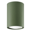 Spotarmatuur LAGOS 1xGU10/10W/230V 10 cm groen